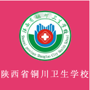 陜西省銅川衛(wèi)生學(xué)校