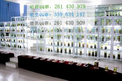 四川中醫(yī)藥高等?？茖W(xué)校