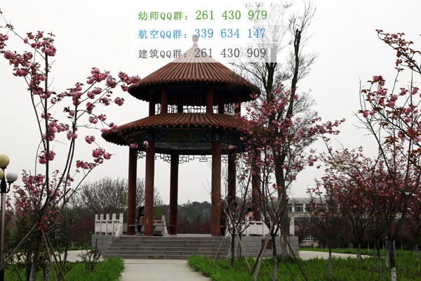 信陽(yáng)師范學(xué)院網(wǎng)站網(wǎng)址