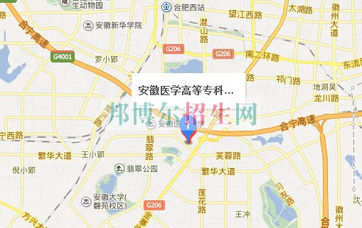 安徽醫(yī)學高等?？茖W校