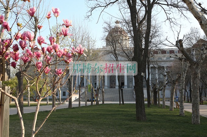 山東圣翰財貿(mào)職業(yè)學院網(wǎng)站網(wǎng)址