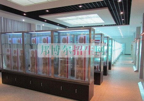 益陽醫(yī)學(xué)高等?？茖W(xué)校