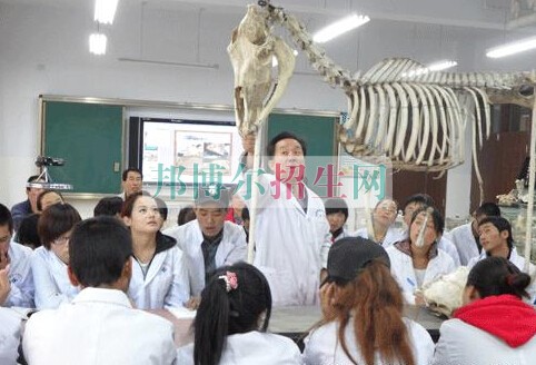 青海畜牧獸醫(yī)職業(yè)技術學院