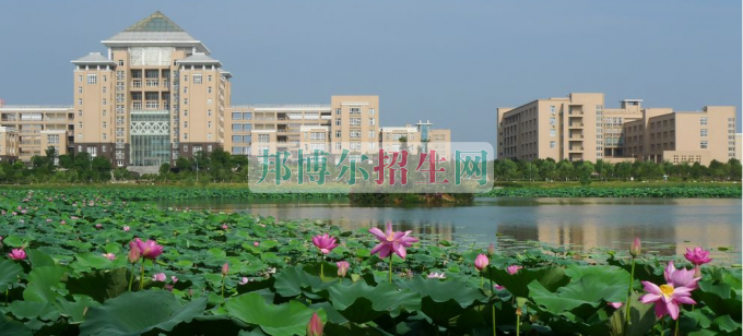 武漢科技大學網(wǎng)站網(wǎng)址