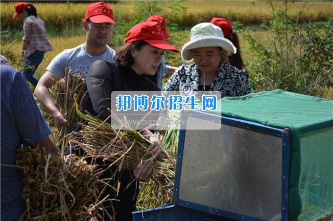 川北幼兒師范高等?？茖W校歲月積淀中的魅力女性