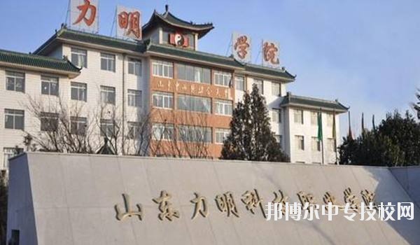 山東力明科技職業(yè)學(xué)院簡介
