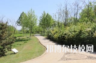 石家莊中英航空中等專業(yè)學校2020年報名條件、招生要求、招生對象