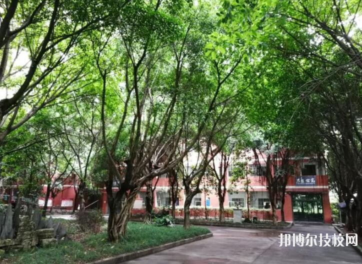 重慶舞蹈學(xué)校2020年報名條件、招生要求、招生對象