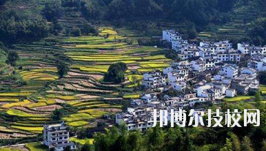 江西婺源茶葉學(xué)校2020年報名條件、招生要求、招生對象