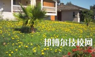 同學(xué)們需要依據(jù)自己所了解的情況來(lái)選擇學(xué)校，那么這也決定看同學(xué)們需要去了解這些學(xué)校的招生簡(jiǎn)章，以便可以清楚的了解學(xué)校信息。下面就由小編給同學(xué)們介紹的有關(guān)于蘭州園藝學(xué)校招生簡(jiǎn)章以及相關(guān)情況，以供大家參考了解。  蘭州園藝學(xué)校層次：中專(zhuān)  蘭州園藝學(xué)校性質(zhì)：公辦  蘭州園藝學(xué)校地址：蘭州市西固區(qū)范家坪  蘭州園藝學(xué)校介紹 蘭州園藝學(xué)校是全省唯一一所園藝、設(shè)施園藝、園林花卉、生態(tài)環(huán)境保護(hù)、建筑裝飾、旅游服務(wù)管理、計(jì)算機(jī)網(wǎng)絡(luò)技術(shù)、古建筑油漆彩畫(huà)等專(zhuān)業(yè)為一體的國(guó)辦全日制普通中等專(zhuān)業(yè)學(xué)校。  學(xué)校地處全省政治經(jīng)濟(jì)文化中心蘭州市,占地面積8萬(wàn)平方米。有各類(lèi)教學(xué)實(shí)驗(yàn)室14個(gè)，擁有圖書(shū)館、閱覽室、組培室、微機(jī)室、語(yǔ)音室、電教室、校園網(wǎng)等各類(lèi)教學(xué)設(shè)施。校園環(huán)境幽靜、空氣清新、規(guī)劃科學(xué)、設(shè)計(jì)獨(dú)特。校園內(nèi)溫?zé)釒Щɑ芷贩N齊全，三季有花，四季常青，教學(xué)生活設(shè)施齊全，師資力量雄厚校風(fēng)優(yōu)良。學(xué)校在珠海、深圳、上海、昆明、蘭州和平牡丹園等地有多處實(shí)習(xí)基地。學(xué)校以獨(dú)特的專(zhuān)業(yè)設(shè)置，超長(zhǎng)的市場(chǎng)預(yù)測(cè)和嚴(yán)格的管理，為社會(huì)培養(yǎng)了大批實(shí)用型中等專(zhuān)業(yè)人才，畢業(yè)生就業(yè)面積廣，就業(yè)率高。  了解了蘭州園藝學(xué)校的信息后，就知道簡(jiǎn)章也是可以用來(lái)選擇學(xué)校的。以上就是小編給大家整理的蘭州園藝學(xué)校招生簡(jiǎn)章，想要了解更多有關(guān)于學(xué)校信息的同學(xué)們是可以直接咨詢(xún)了解邦博爾相關(guān)網(wǎng)站。