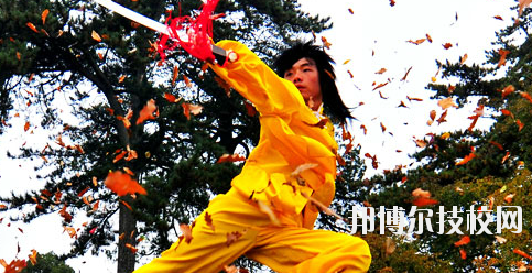平?jīng)鲠轻嘉奈鋵W校2020年報名條件、招生要求、招生對象
