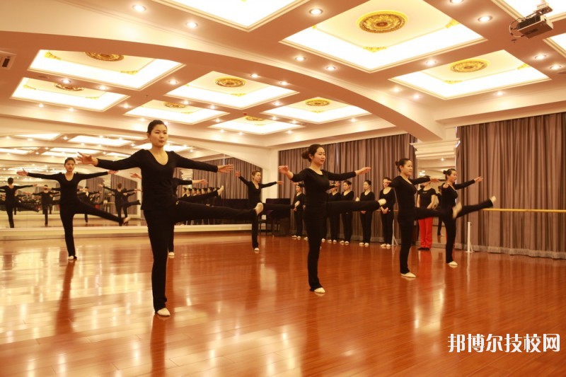滄州職業(yè)技術(shù)學(xué)院2020年報(bào)名條件、招生要求、招生對(duì)象