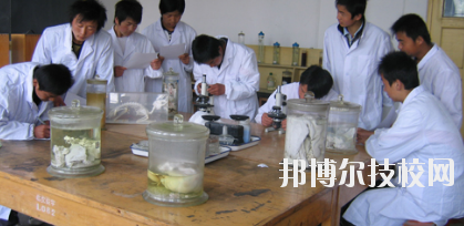 臨夏農(nóng)業(yè)學(xué)校2020年學(xué)費(fèi)、收費(fèi)多少