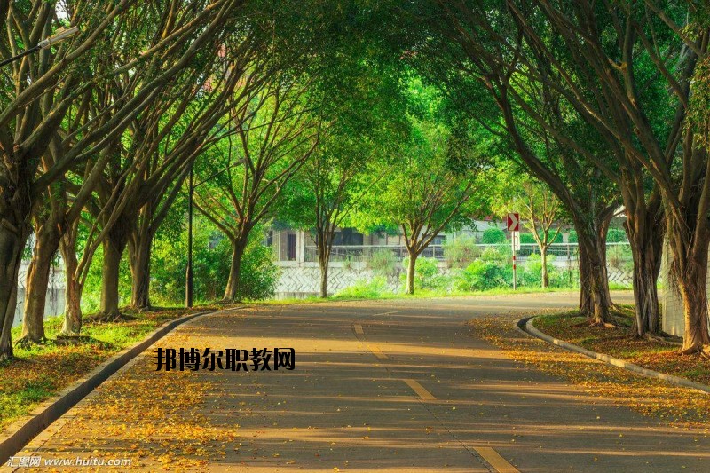 仙桃金園職業(yè)高級中學2020年報名條件、招生要求、招生對象