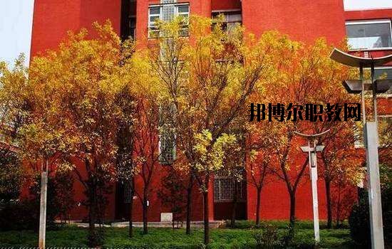 鶴峰職業(yè)技術(shù)學(xué)校2020年報名條件、招生要求、招生對象