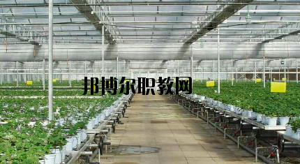 隴南農(nóng)業(yè)學校怎么樣、好不好