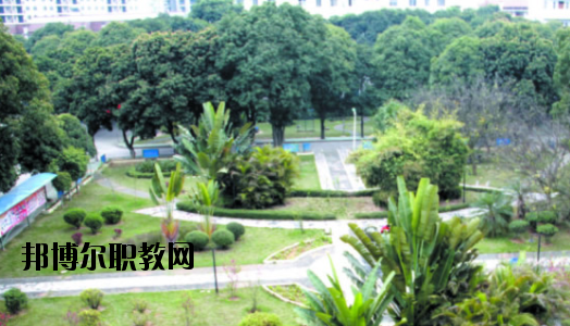 廣西百色農(nóng)業(yè)學(xué)校2020年報名條件、招生要求、招生對象 
