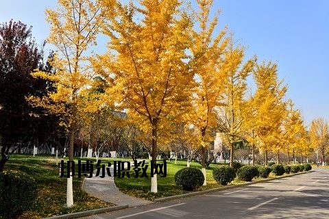 蘄春李時(shí)珍中等專(zhuān)業(yè)學(xué)校怎么樣、好不好