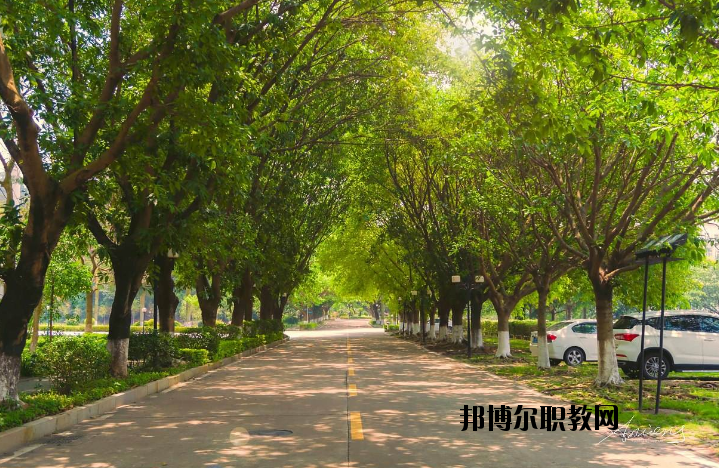 河南團(tuán)校2021年報(bào)名條件、招生要求、招生對象