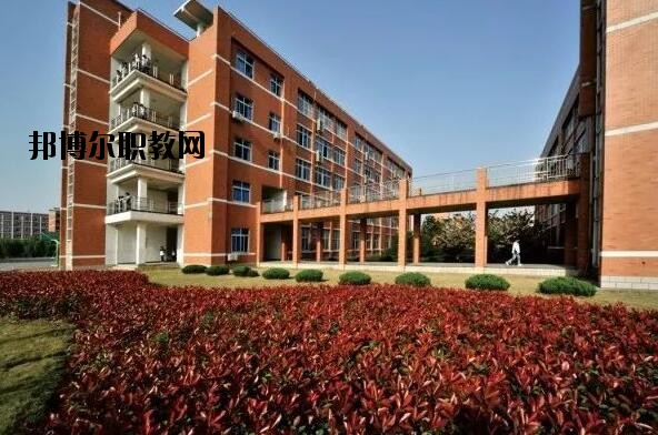 桐鄉(xiāng)衛(wèi)生學校網址網站