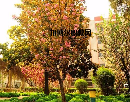 新鄉(xiāng)工業(yè)學(xué)校2021年報名條件、招生對象