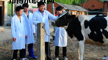 甘南畜牧學(xué)校2020年學(xué)費(fèi)、收費(fèi)多少