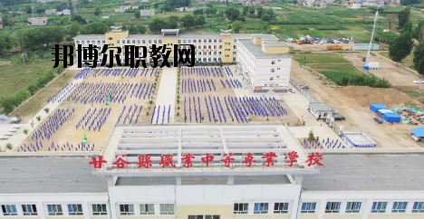 甘谷職業(yè)中等專業(yè)學(xué)校2020年報名條件、招生要求、招生對象