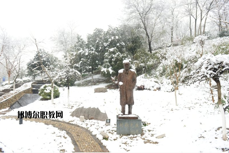 南京工業(yè)大學(xué)2020年報(bào)名條件、招生要求、招生對(duì)象