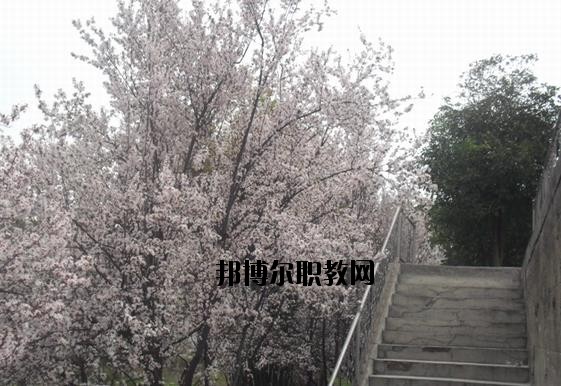 ?？德毥讨行膶W(xué)校網(wǎng)址網(wǎng)站