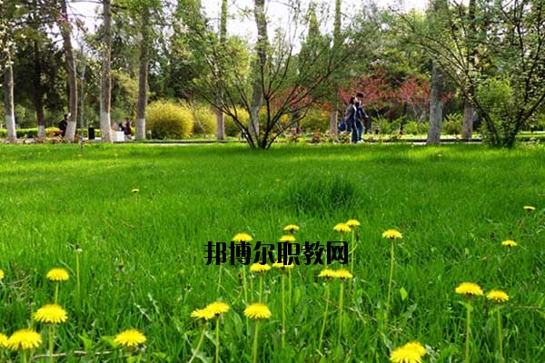 雙江縣職教中心2020年報(bào)名條件、招生要求、招生對(duì)象