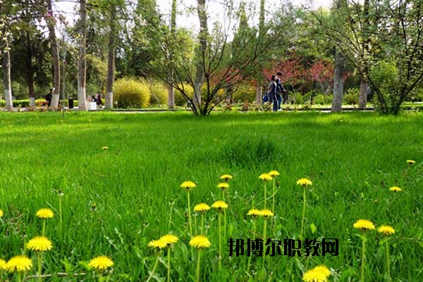 雙江縣職教中心怎么樣、好不好
