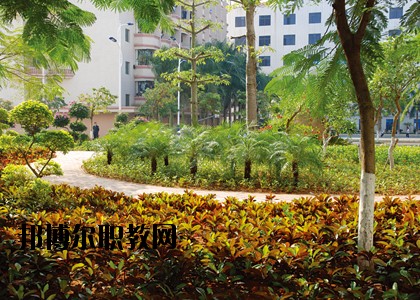 湛江技師學(xué)院怎么樣、好不好
