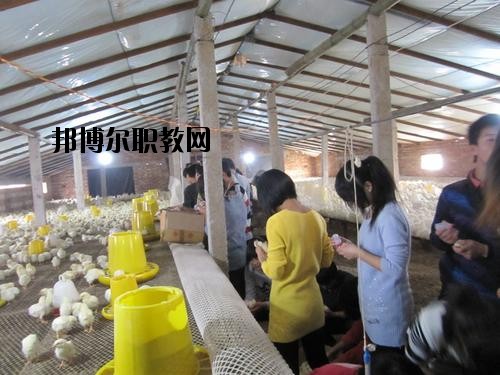 通許中等職業(yè)學(xué)校2021年學(xué)費、收費多少