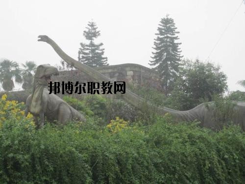 自貢三星職業(yè)技術(shù)學(xué)校2020年報(bào)名條件、招生要求、招生對(duì)象