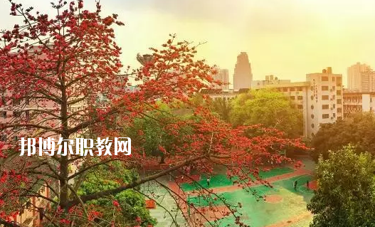 廣東省商業(yè)職業(yè)技術學校怎么樣、好不好