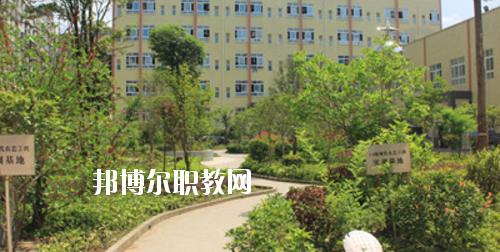道真中等職業(yè)學校2020年報名條件、招生要求、招生對象