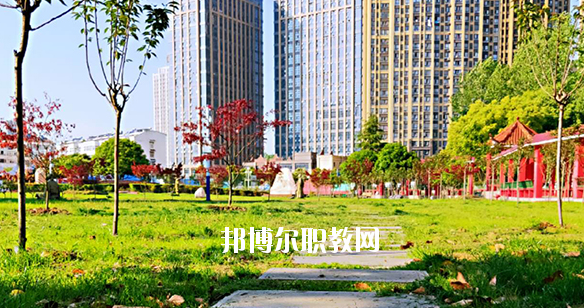 合肥飛躍學(xué)校2020年報名條件、招生要求、招生對象 