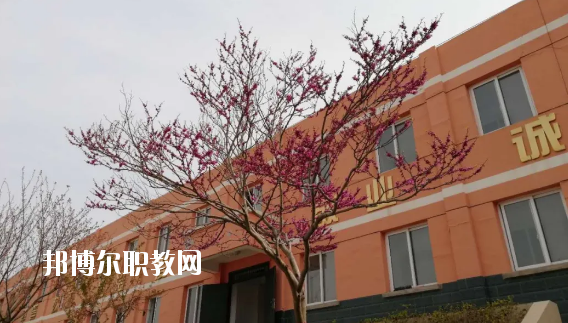 成縣化埡農(nóng)職業(yè)中學怎么樣、好不好