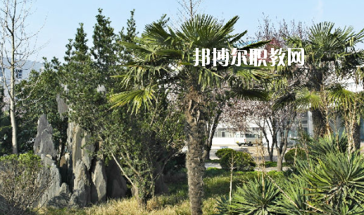 安徽2020年中專(zhuān)有高鐵學(xué)校專(zhuān)業(yè)嗎
