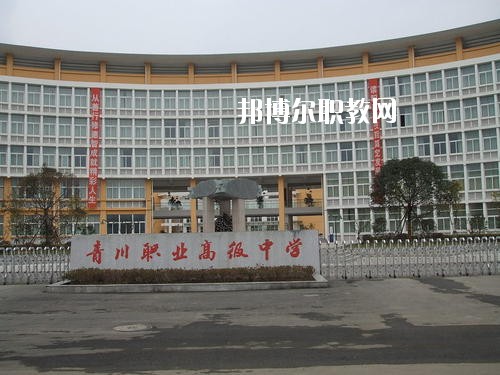 青川縣職業(yè)高級中學(xué)校2020年報名條件、招生要求、招生對象
