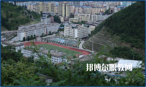 廣元朝天職業(yè)中學(xué)2020年報(bào)名條件、招生要求、招生對(duì)象