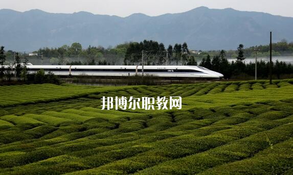 QQ截圖20200812152530
