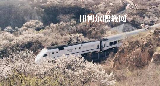 QQ截圖20200824155529