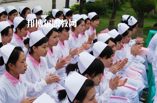 四川2020年衛(wèi)校理論包括什么