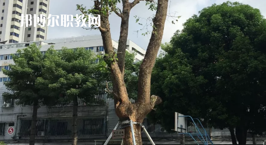 汕頭經(jīng)貿(mào)職業(yè)技術(shù)學(xué)校2021年招生錄取分?jǐn)?shù)線(xiàn)