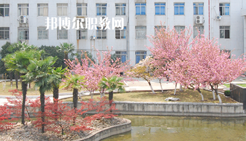 合肥2021年鐵路學(xué)校大專(zhuān)好的學(xué)校