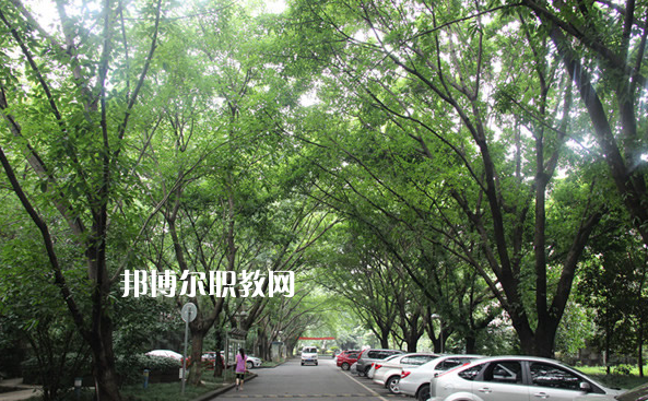 重慶2021年中專學(xué)?？梢钥即髮W(xué)嗎