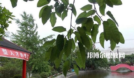 綿陽陽光職業(yè)技術學校網(wǎng)站網(wǎng)址