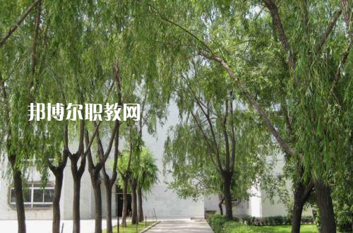新疆喀什地區(qū)衛(wèi)生學(xué)校2021年報(bào)名條件、招生要求、招生對(duì)象
