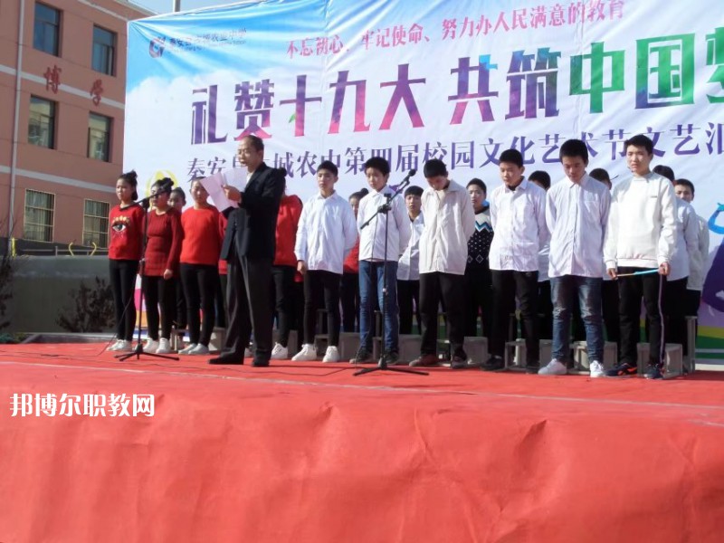 秦安縣古城農業(yè)中學網站網址